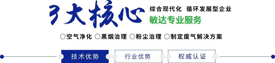 轮奸白洁肉肉肉啊肉敏达环保科技（嘉兴）有限公司